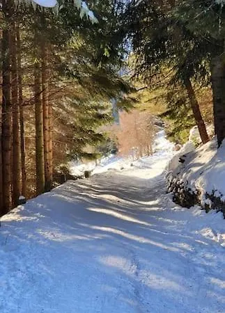 Residenza Sofia - Fraz. Pezzo Casa vacanze Ponte Di Legno